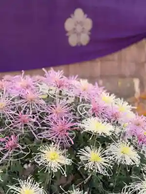 亀戸天神社(東京都)