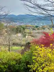 丸高稲荷神社(和歌山県)