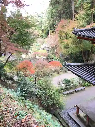 岩船寺の庭園