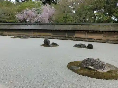 龍安寺の庭園