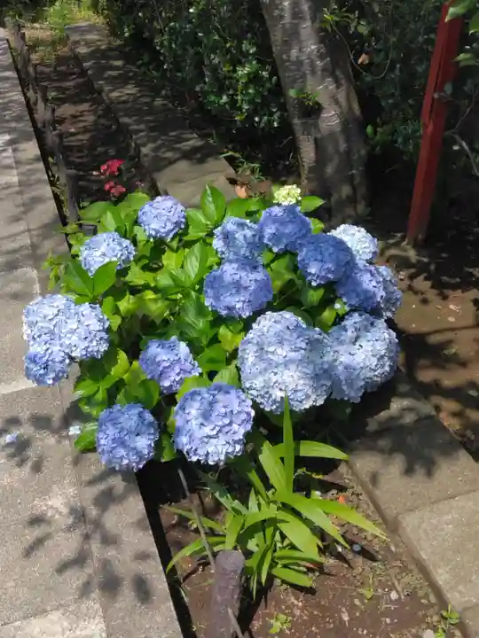 大船観音寺(神奈川県)