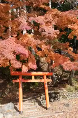 高野山金剛峯寺奥の院(和歌山県)