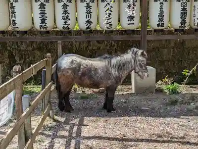 大石神社の動物