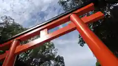 賀茂御祖神社（下鴨神社）(京都府)