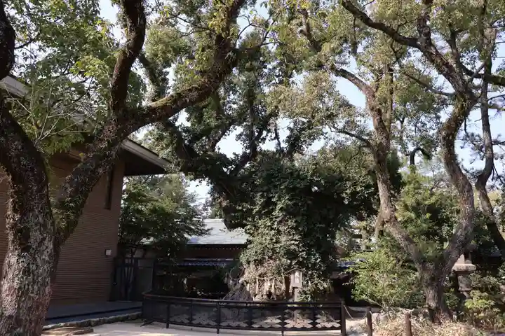 筥崎宮(福岡県)