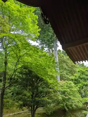 法金剛院(京都府)