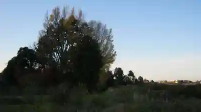 鵜川神社の景色