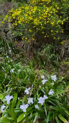 椎尾神社(大阪府)