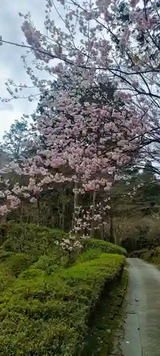 石山寺の自然