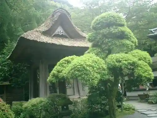 報国寺の庭園