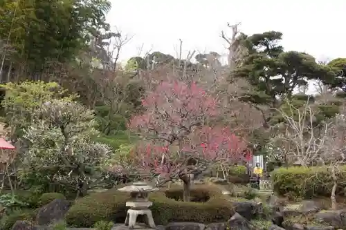 長谷寺の庭園