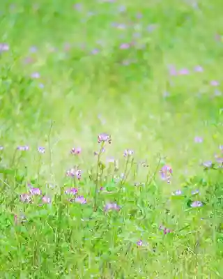 浄土寺(兵庫県)