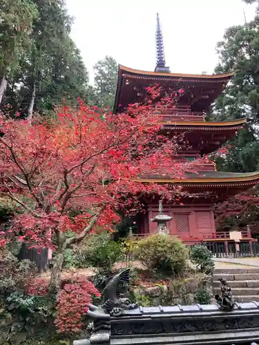 長命寺の塔