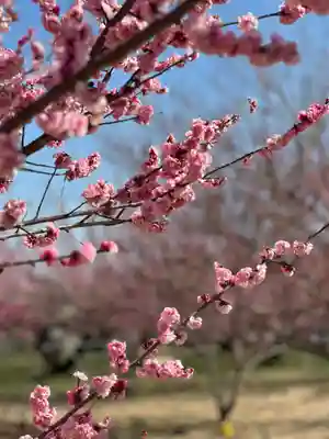 群馬県護国神社(群馬県)