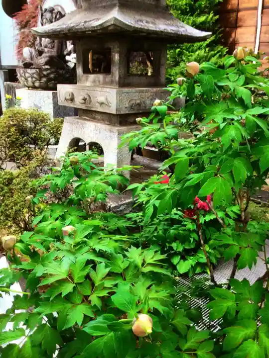 成願寺(東京都)