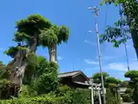 大杉神社のその他建物