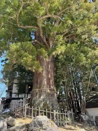 戸隠神社中社(長野県)