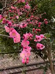 頼光寺(兵庫県)