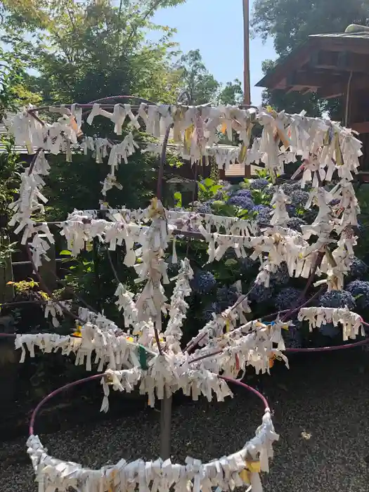 加紫久利神社の建物その他