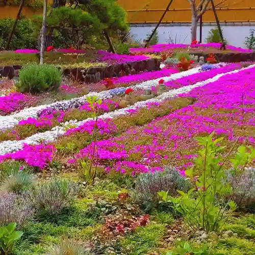 寿量山　速成寺(奈良県)