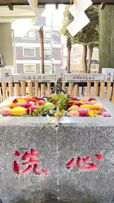 高円寺氷川神社(東京都)