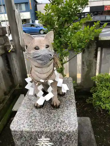 今泉八坂神社の狛犬