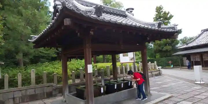 城南宮の手水舎