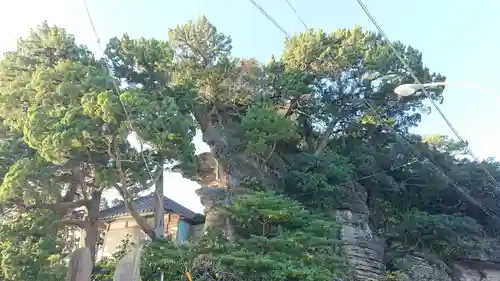 龍神宮のその他建物