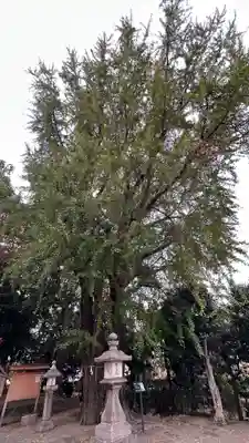 三栖神社(京都府)