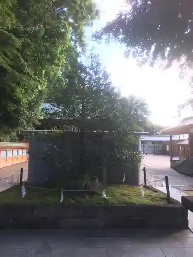 富岡八幡宮の自然