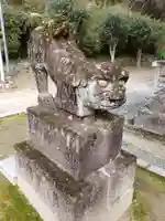 綾部八幡神社の狛犬