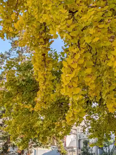 仙寿院(東京都)