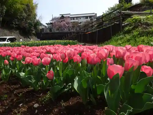 泉蔵寺の庭園