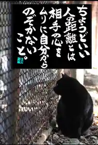 専念寺(大阪府)(2023年01月19日(木) 18時15分07秒投稿)