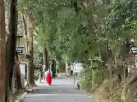 磐座神社(大神神社摂社)の{uncategorized: "未分類", other: "その他", undefined: "問題あり", building: "その他建物", grave: "お墓", sacred_gate: "鳥居", guardian: "狛犬", statue: "像", buddha: "仏像", history: "歴史", nature: "自然", garden: "庭園", animal: "動物", pagoda: "塔", temizu: "手水舎", mountain_gate: "山門・神門", sanctuary: "本殿・本堂", subordinate: "末社・摂社", art: "芸術", scenery: "景色", jizo: "地蔵", ema: "絵馬", goshuin: "御朱印", omikuji: "おみくじ", items: "授与品その他", amulet: "お守り", goshuincho: "御朱印帳", eats: "食事", festival: "お祭り", votive_dance: "神楽", shichigosan: "七五三参", wedding: "結婚式", experience: "体験その他", initially: "初詣", around: "周辺", anti_infection: "感染症対策"}