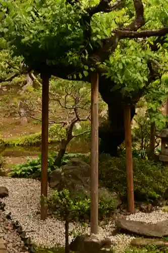 大善寺(山梨県)