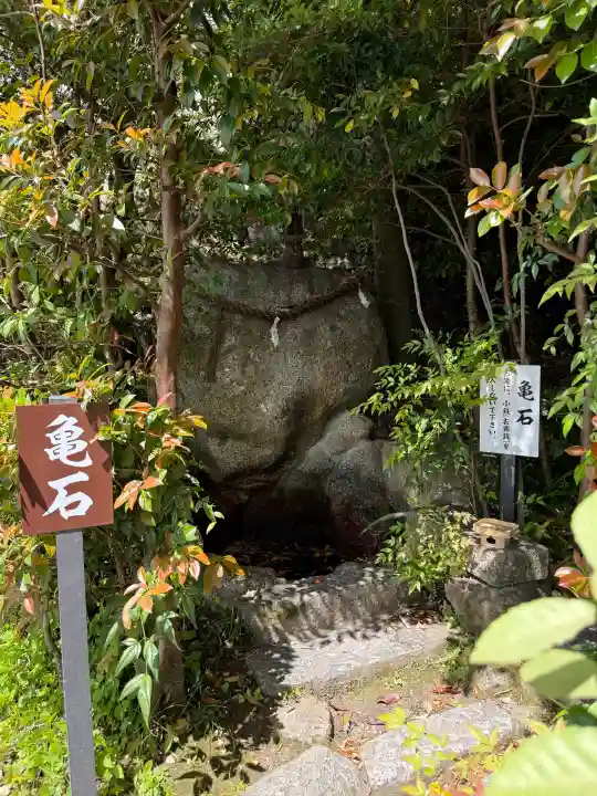 葛城一言主神社の{uncategorized: "未分類", other: "その他", undefined: "問題あり", building: "その他建物", grave: "お墓", sacred_gate: "鳥居", guardian: "狛犬", statue: "像", buddha: "仏像", history: "歴史", nature: "自然", garden: "庭園", animal: "動物", pagoda: "塔", temizu: "手水舎", mountain_gate: "山門・神門", sanctuary: "本殿・本堂", subordinate: "末社・摂社", art: "芸術", scenery: "景色", jizo: "地蔵", ema: "絵馬", goshuin: "御朱印", omikuji: "おみくじ", items: "授与品その他", amulet: "お守り", goshuincho: "御朱印帳", eats: "食事", festival: "お祭り", votive_dance: "神楽", shichigosan: "七五三参", wedding: "結婚式", experience: "体験その他", initially: "初詣", around: "周辺", anti_infection: "感染症対策"}