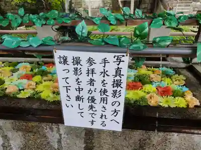 津島神社の手水舎