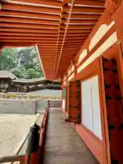 金剛寺(大阪府)