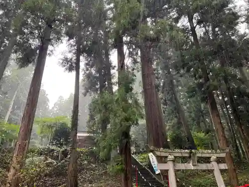 大宮温泉神社(栃木県)