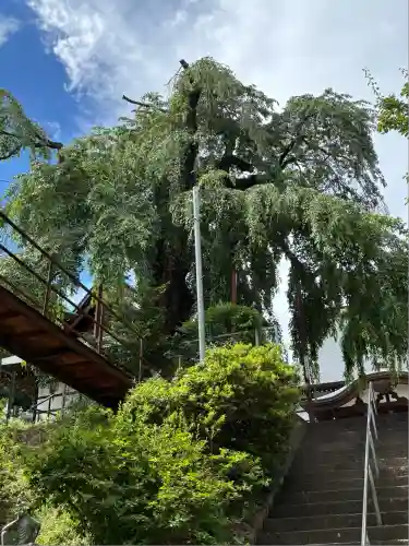 林昌寺(群馬県)