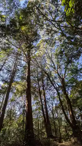 秋葉神社(滋賀県)