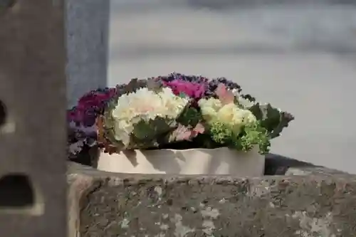 熊野福藏神社の手水