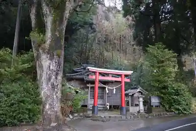 七社神社(鹿児島県)