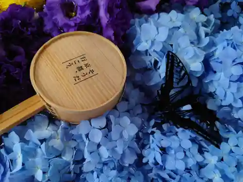 柳谷観音　楊谷寺(京都府)