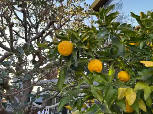 白蛇辨財天の自然