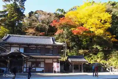 瀧安寺(大阪府)