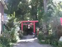 駒形神社(箱根神社摂社)の鳥居