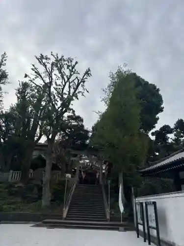 居木神社の{uncategorized: "未分類", other: "その他", undefined: "問題あり", building: "その他建物", grave: "お墓", sacred_gate: "鳥居", guardian: "狛犬", statue: "像", buddha: "仏像", history: "歴史", nature: "自然", garden: "庭園", animal: "動物", pagoda: "塔", temizu: "手水舎", mountain_gate: "山門・神門", sanctuary: "本殿・本堂", subordinate: "末社・摂社", art: "芸術", scenery: "景色", jizo: "地蔵", ema: "絵馬", goshuin: "御朱印", omikuji: "おみくじ", items: "授与品その他", amulet: "お守り", goshuincho: "御朱印帳", eats: "食事", festival: "お祭り", votive_dance: "神楽", shichigosan: "七五三参", wedding: "結婚式", experience: "体験その他", initially: "初詣", around: "周辺", anti_infection: "感染症対策"}