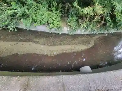吉井神社(愛媛県)